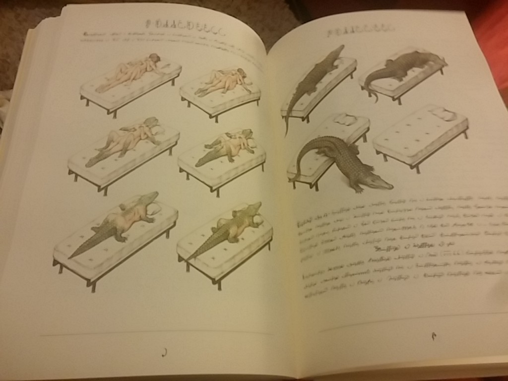 Text and images from Luigi Serafini's Codex Seraphinianus