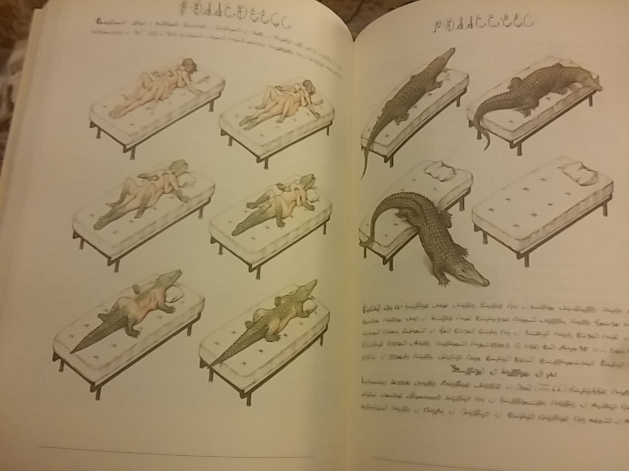 Client Gift - Codex Seraphinianus - A Perfectly Perplexing Present